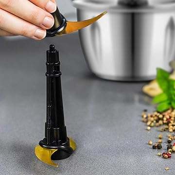 Electric Food Processor